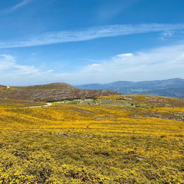 Casa Do Gaio-Turismo De Naturezaアロウカ エクステリア 写真